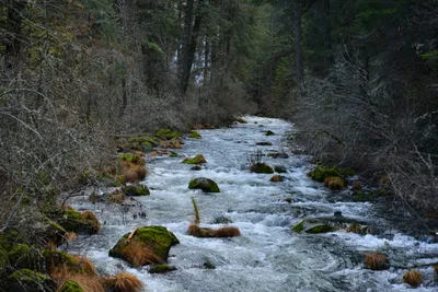 DSC_5962 (Large).JPG